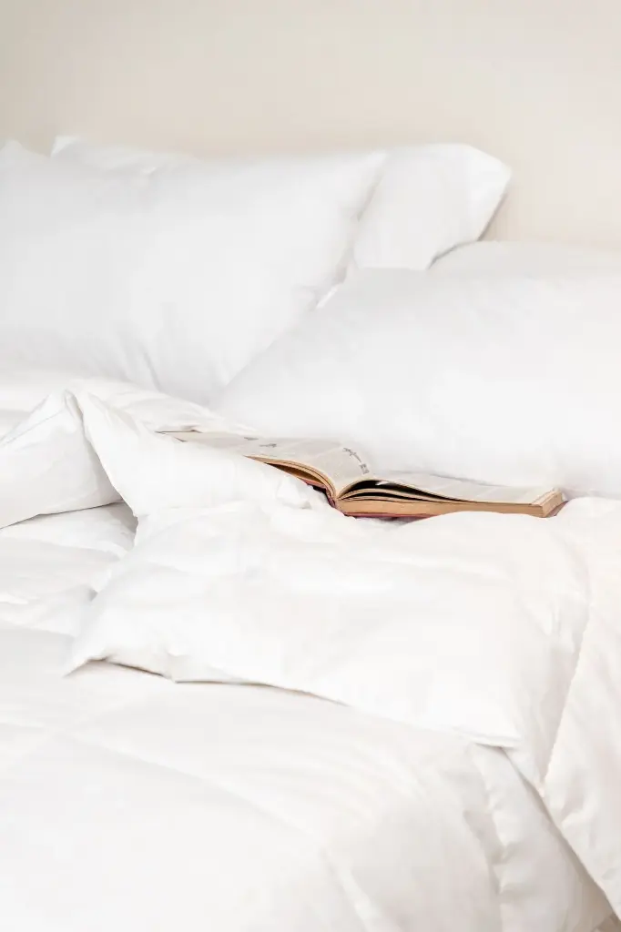 Duvet - de Plumas Matrimonial XL