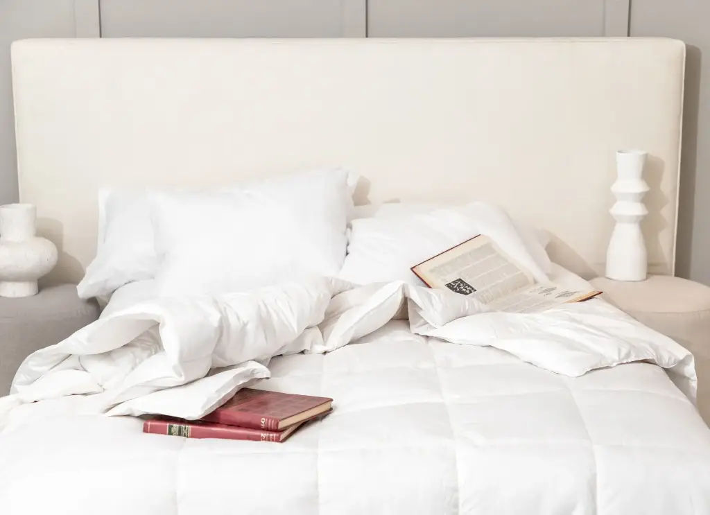 Duvet - de Plumas King Size XL